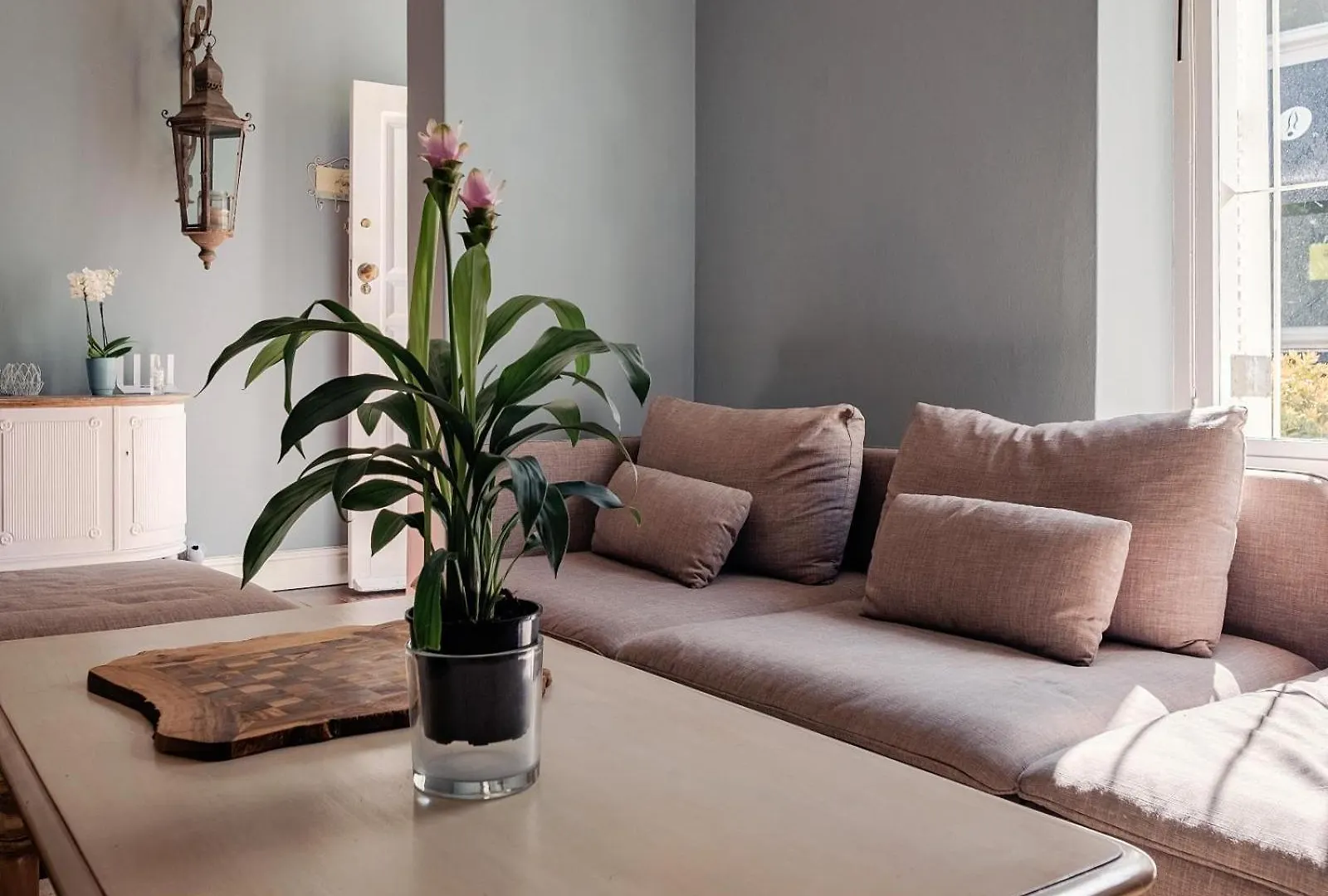 Purple House Accommodations Cape Town Holiday home