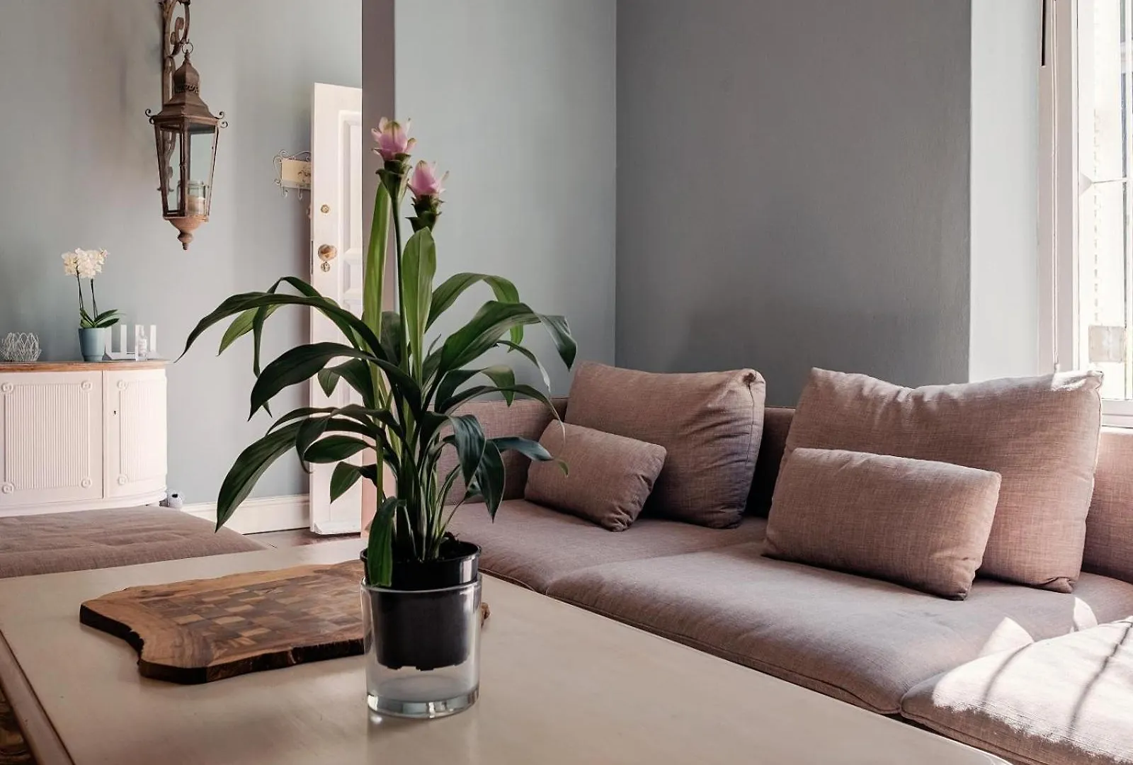 Purple House Accommodations Cape Town Holiday home