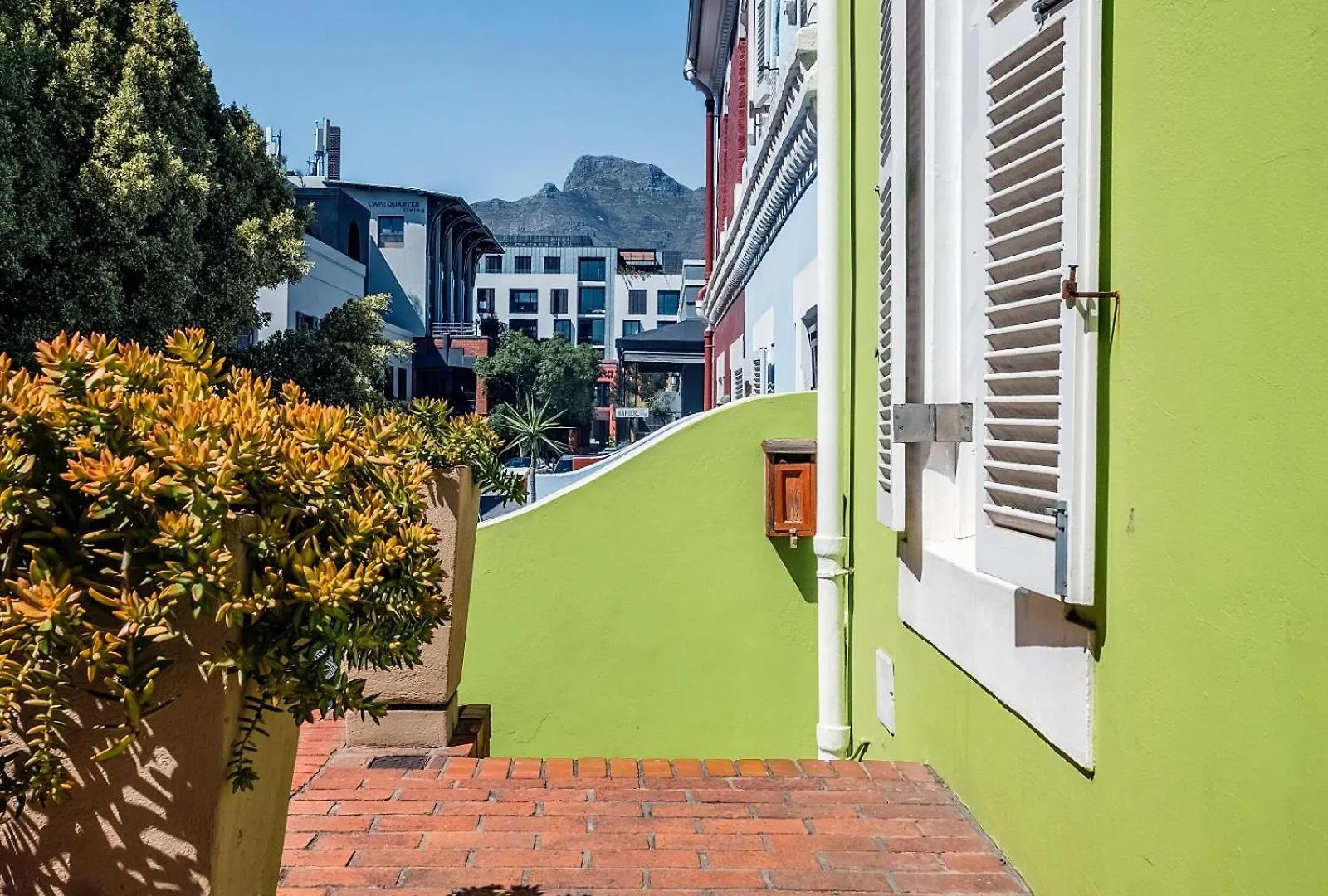 Purple House Accommodations Cape Town South Africa