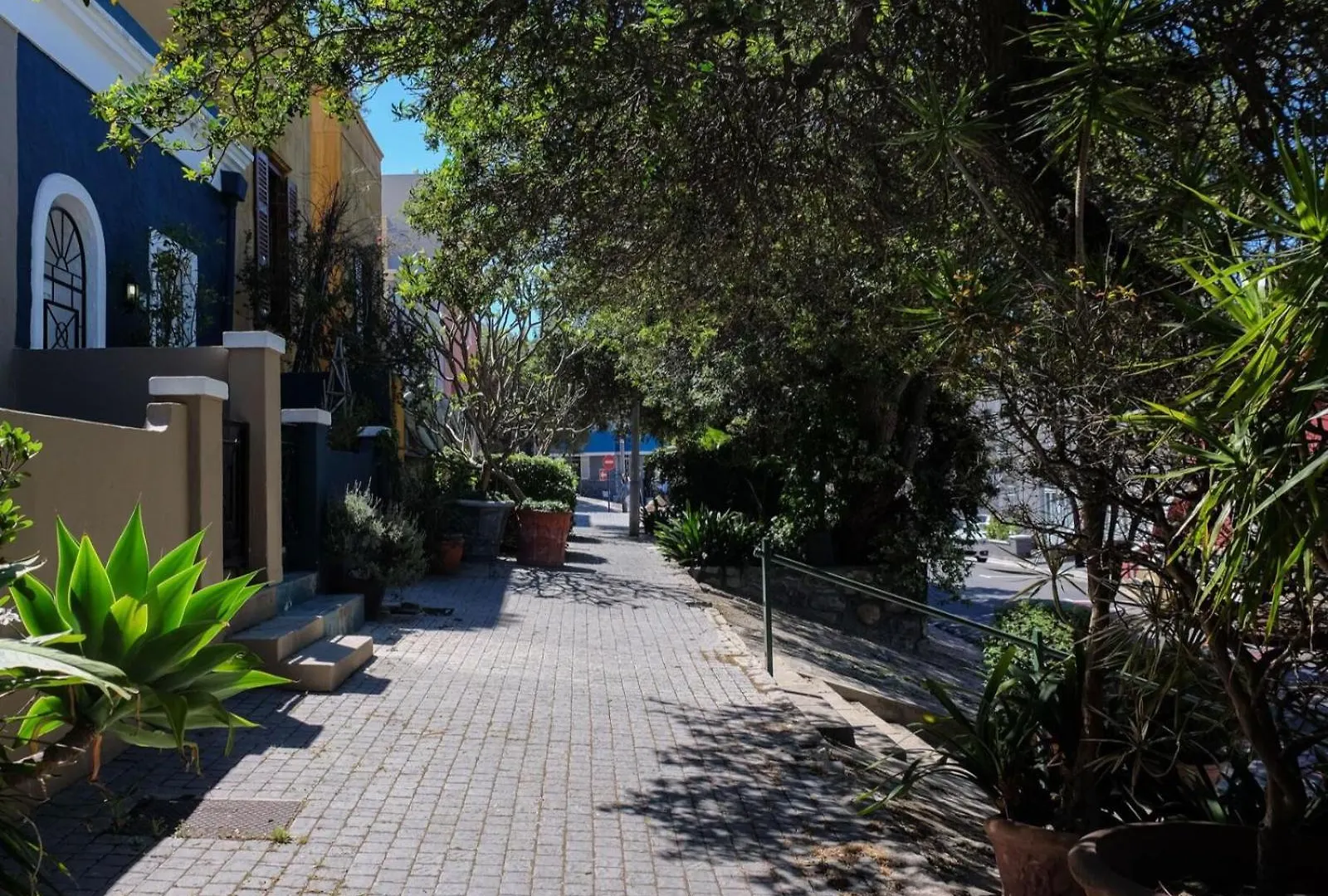 Purple House Accommodations Cape Town Holiday home